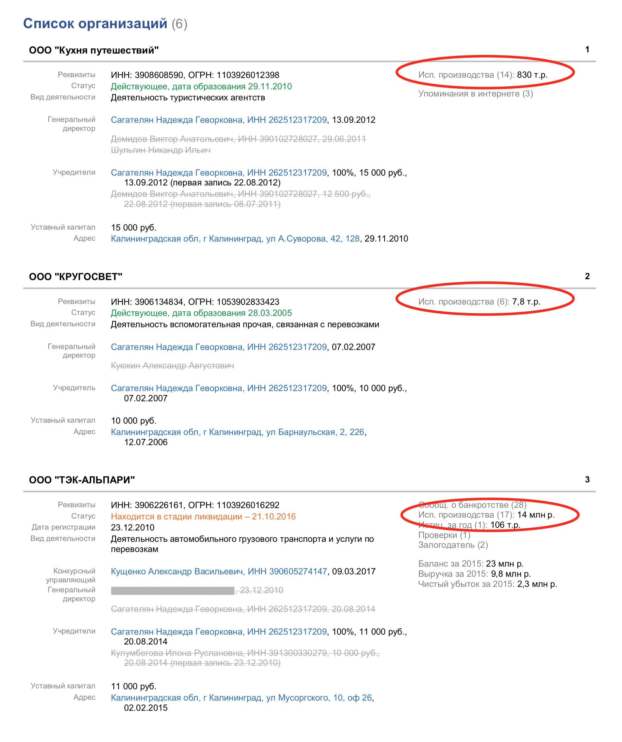 Бизнес-биография Надежды Сагателян